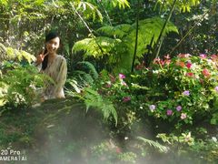 -Chom Cafe and Restaurant