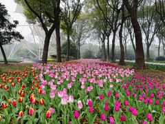 -上海鲜花港