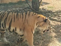 -昆明动物园