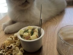 -平行世界·猫咖(首经贸店)