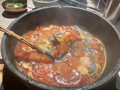 -毛辣果·酸