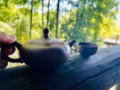 -大唐贡茶院