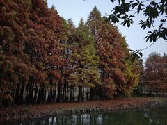 -厦门园林博览苑