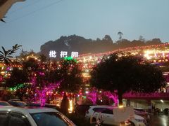 -枇杷园食为鲜火锅(南山店)