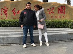 -宝安西湾红树林湿地公园