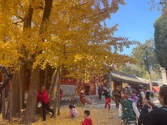 -承恩寺