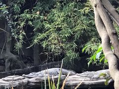 -长鹿旅游休博园