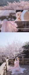 -八角古风摄影