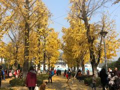 -百林公园-两江幸福广场