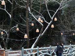 -宁波五龙潭景区