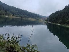 -武陵山森林公园