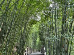 -赤水丹霞旅游区·佛光岩