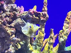 -绿色星球动物主题公园