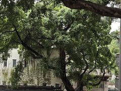 -芝麻糊世家(西华店)