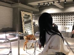 -浣熊柯尔鸭土拨鼠·电玩咖