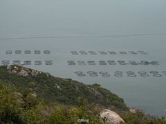 -东山码头