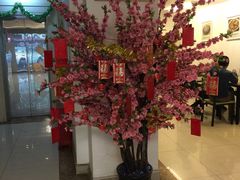 -楼兰印象(朝外店)
