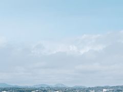 -涉地可支