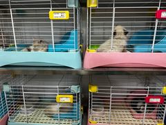-宠爱我(南山店)