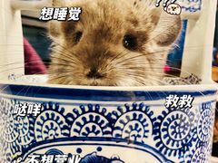 -龙猫仔乐园(惠福东路店)