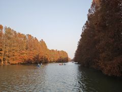 -上海海湾国家森林公园