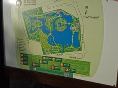 -大兴滨河森林公园