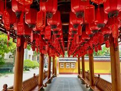 -上海东林寺(金山区)