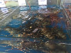 -清水湾3号(东方小周海鲜店)