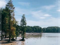 -海珠湖公园