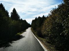 -塞罕坝国家级自然保护区