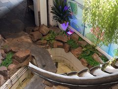 -春盛渔府(牛首山店)