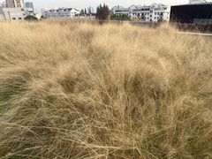 -中共上海市委党校 上海行政学院