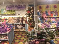 -济州岛泰迪熊博物馆