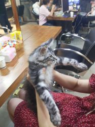-名品美发