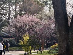 -无锡梅园公园