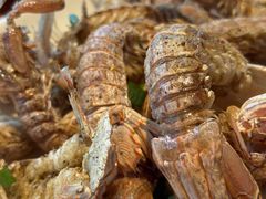 -金海湾海鲜排档(朱家尖店)