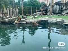 -上海野生动物园