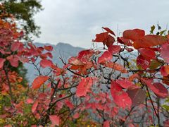 -秦岭终南山世界地质公园翠华山景区