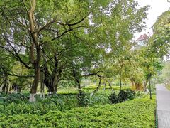 -厦门大学(思明校区)