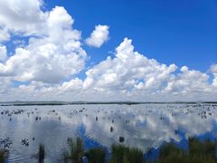 -花湖生态旅游区