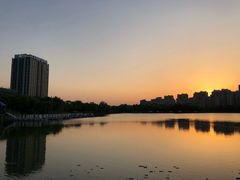 -南翔镇银翔湖公园