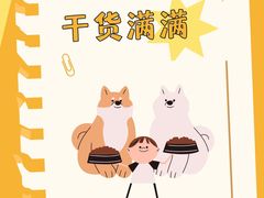 -博特宠物医院24h犬猫全科.骨科·异宠