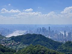 -大金鹰园