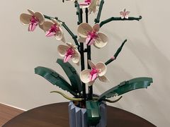 -Again Coffee Roaster(香蜜湖店)