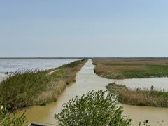 -盐城丹顶鹤湿地生态旅游区