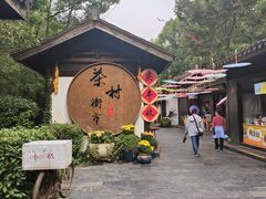 -天目湖山水园