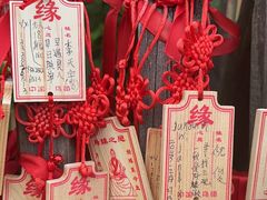 -乌镇景区