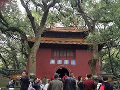 -普陀山风景名胜区-法雨禅寺