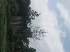 -白鹭湾湿地公园