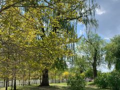 -长春市南湖公园